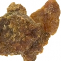 Jacinthe