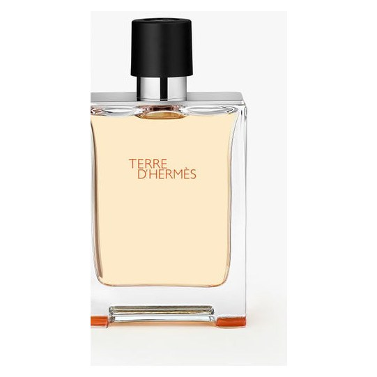 Hermès Terre d'Hermès — Eau de toilette · 100 ml